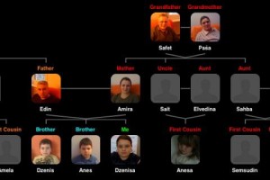 Family Tree gezoomt